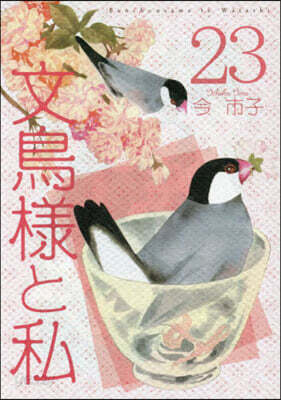 文鳥樣と私 23