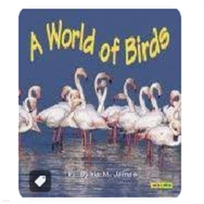 A World of Birds