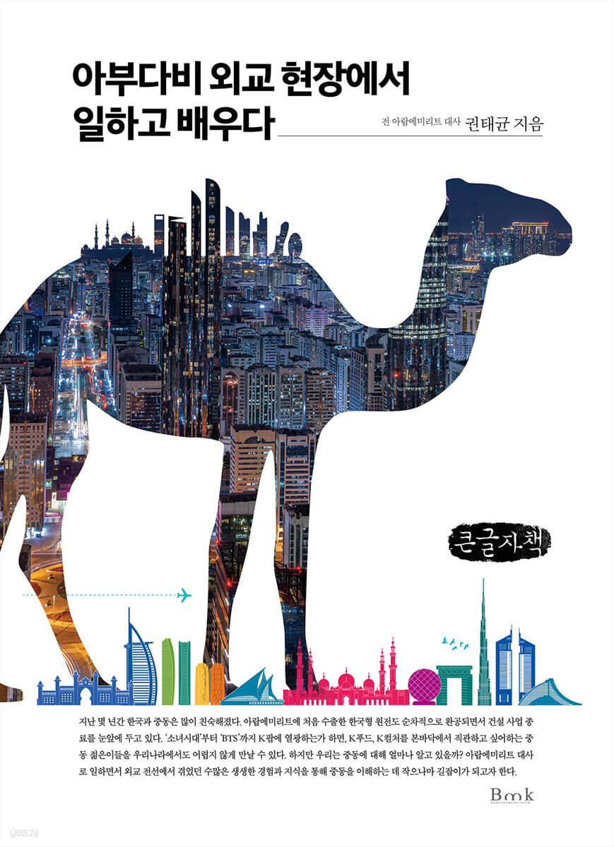 아부다비 외교 현장에서 일하고 배우다 (큰글자책)