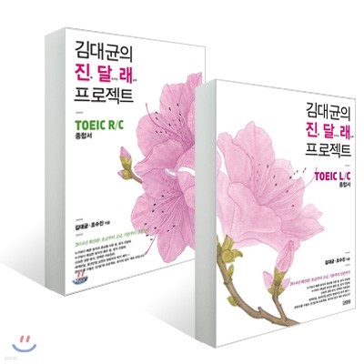 김대균의 진달래 프로젝트 TOEIC R/C + L/C 세트