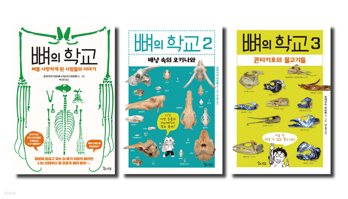 뼈의 학교 세트