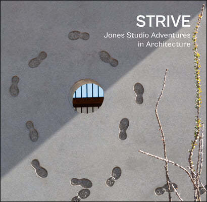 Strive: Jones Studio Adventures in Architecture