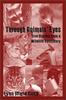 Through Animals' Eyes: True Stories from a Wildlife Sanctuary