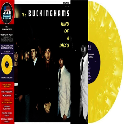 Buckinghams — Kind Of A Drag 앨범 커버