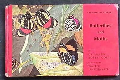 Butterflies and Moths (Hardcover)