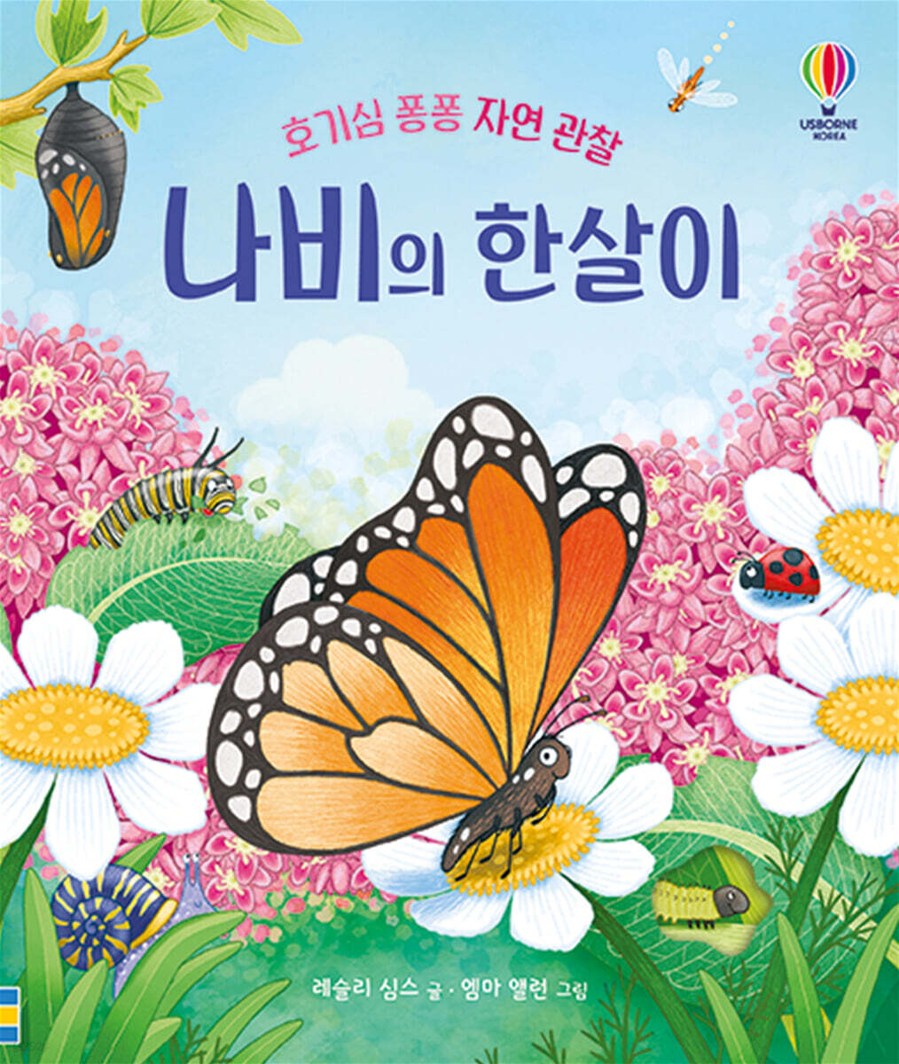나비의 한살이