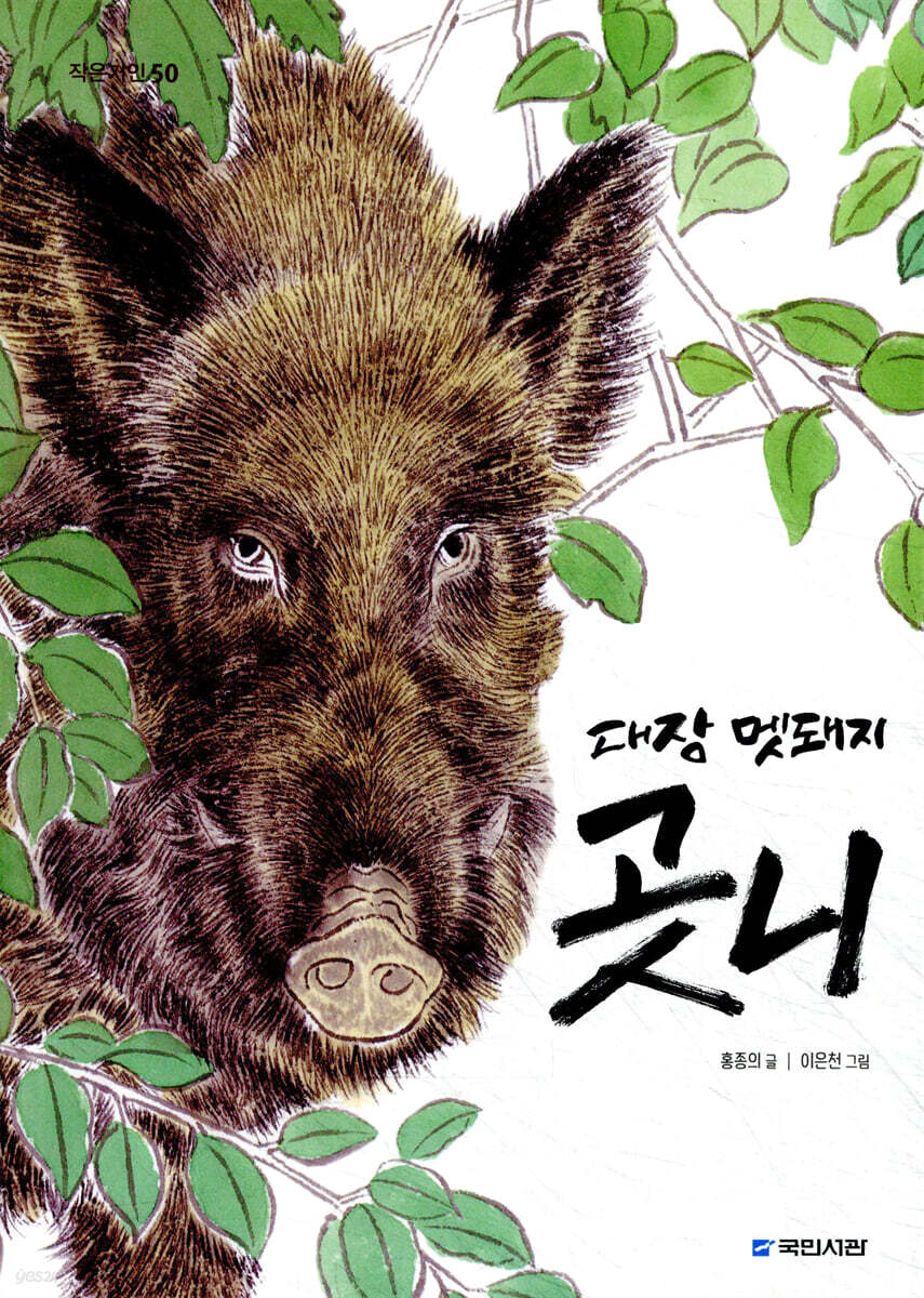 대장 멧돼지 곳니