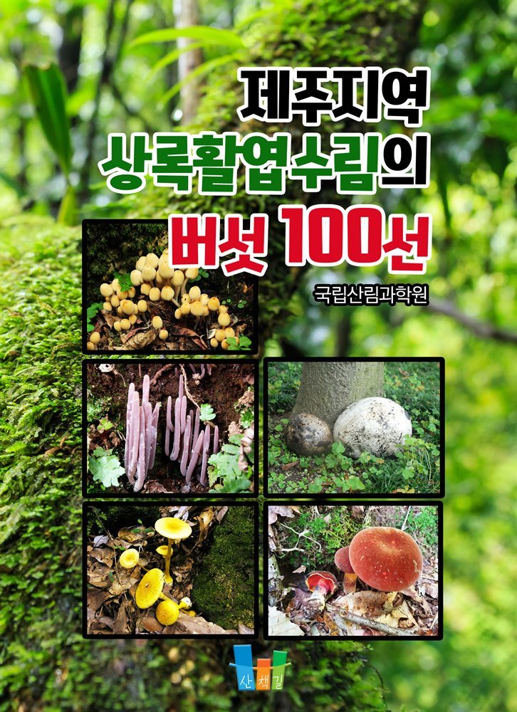 제주지역 상록활엽수림의 버섯 100선