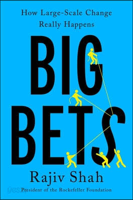 Big Bets: How Large-Scale Change Really Happens