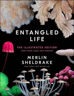 Entangled Life: The Illustrated Edition: How Fungi Make Our Worlds