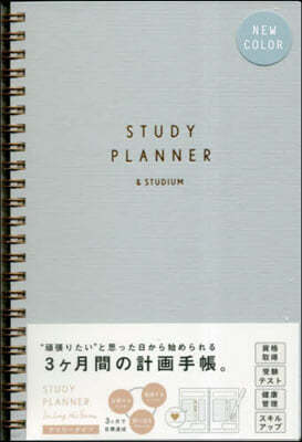 STUDY PLANNER DAILY PALE MINT 