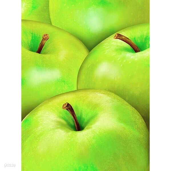 초록 사과 (패브릭) 보석십자수 30x40