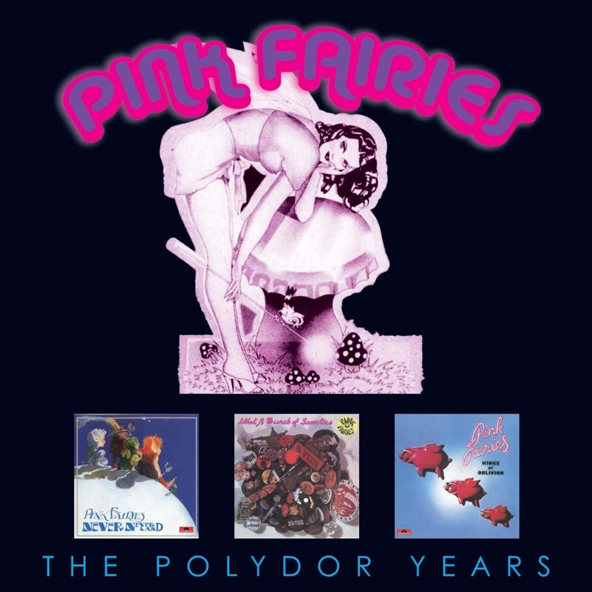 Pink Fairies (핑크 페어리스) - The Polydor Years