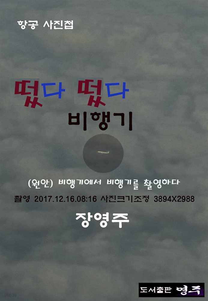 떴다 떴다 비행기