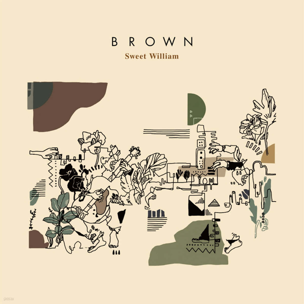 Sweet William (스위트 윌리엄) - Brown [레드 컬러 LP]
