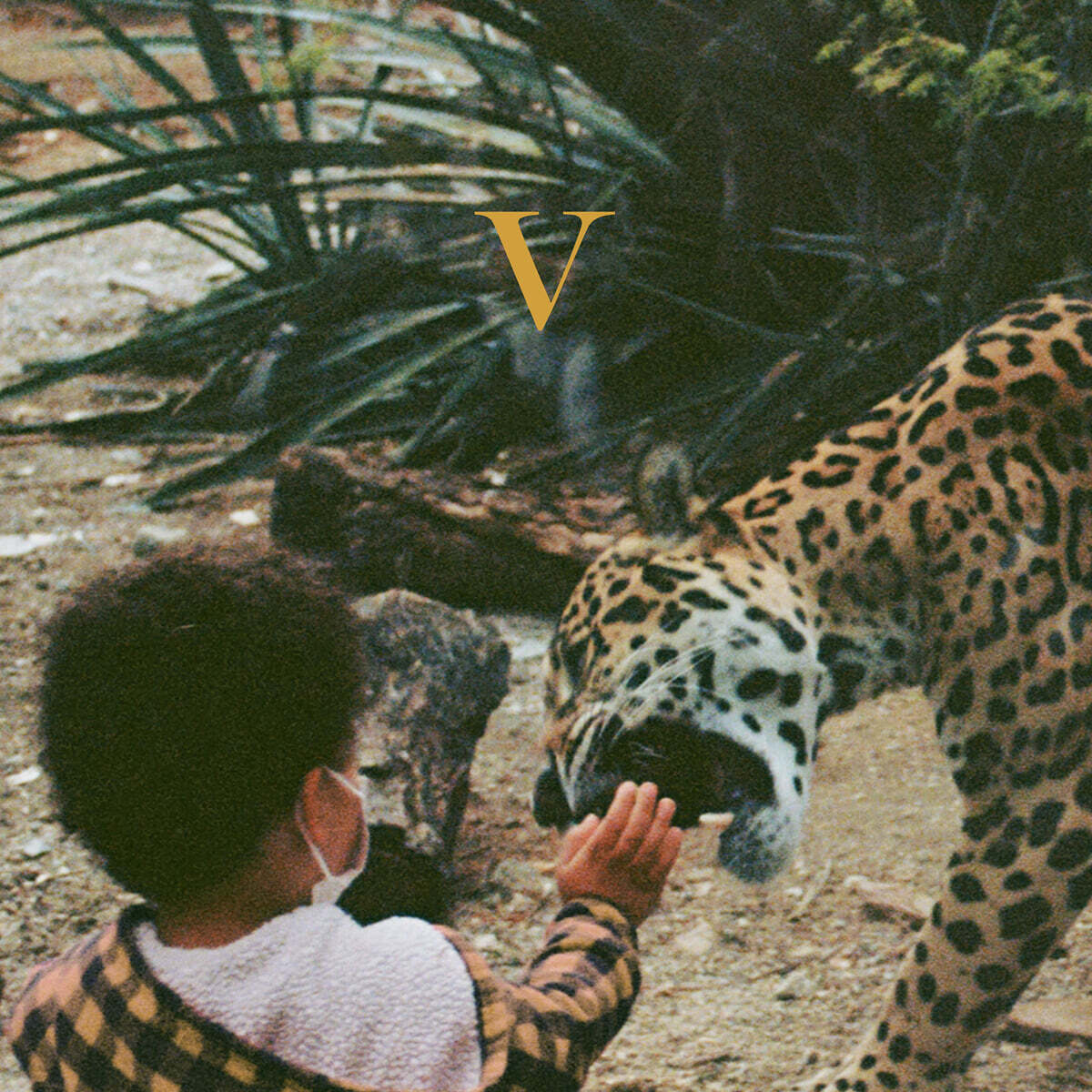 Unknown Mortal Ochestra (언노운 모탈 오케스트라) - 5집 V [카세트테이프]