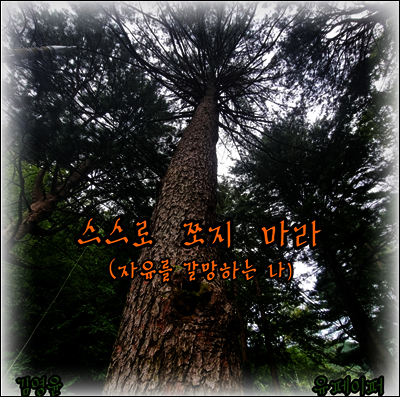 스스로 쪼지 마라