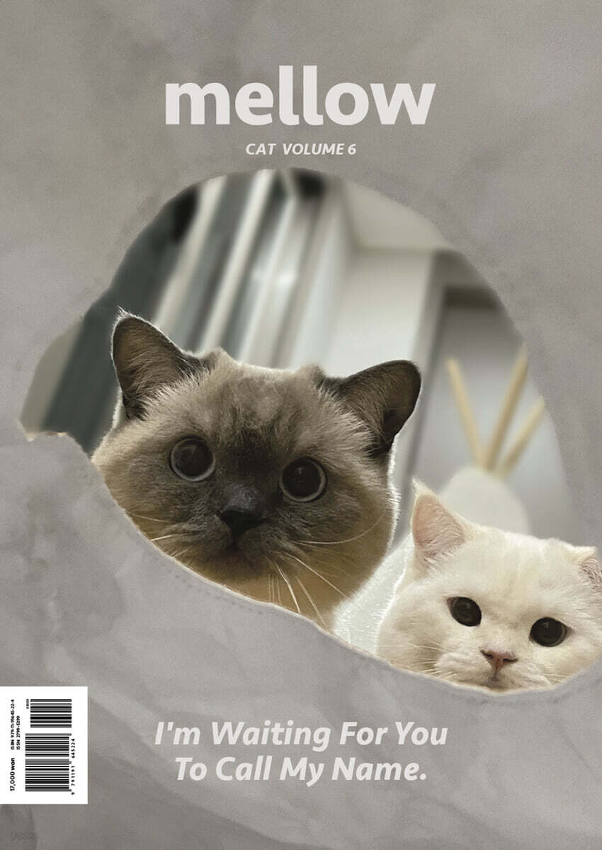 Mellow cat volume 6 멜로우매거진 [2023]