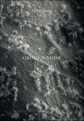 Céline Clanet: Ground Noise