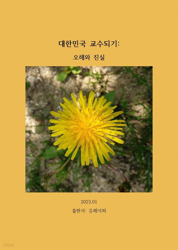 대한민국 교수되기