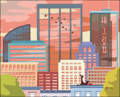 새 그림자