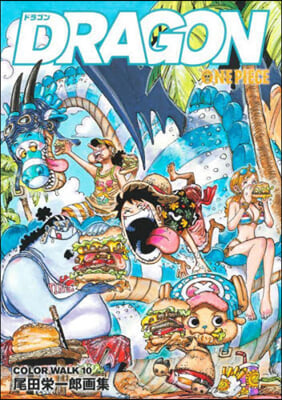 ONE PIECE COLOR WALK(10)
