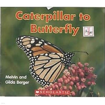 Caterpillar to Butterfly (Scholastic Readers Time-to-Discover)