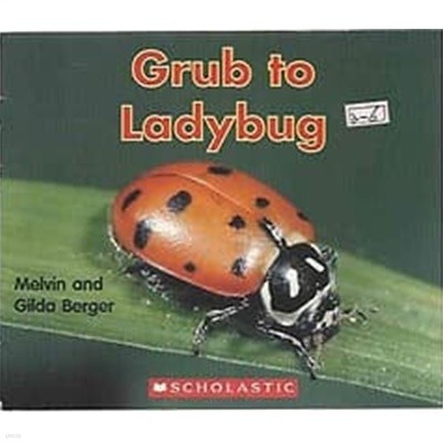 Grub to Ladybug (Scholastic Readers Time-to-Discover)