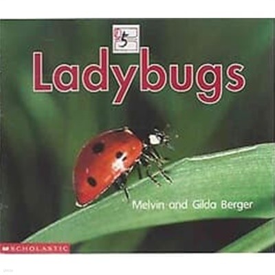 Ladybugs (Scholastic Readers Time-to-Discover)