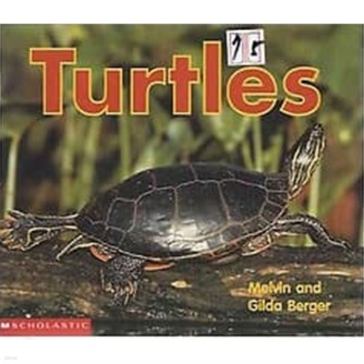 Turtles (Scholastic Readers Time-to-Discover)