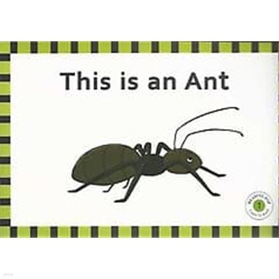 READING POP 1 Learn To Read - This is an Ant