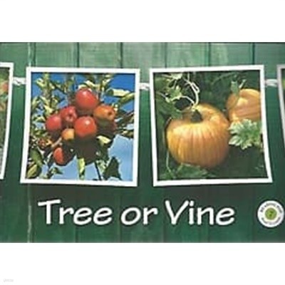 READING POP 7 Learn To Read - Tree or Vine