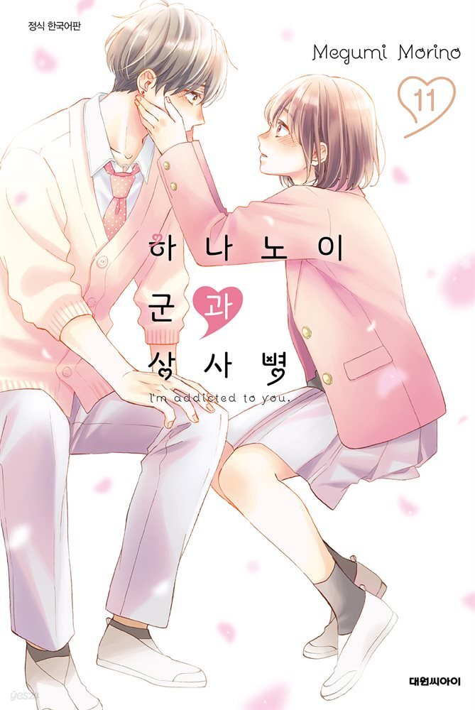 하나노이 군과 상사병 11권