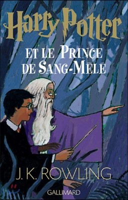 Harry Potter t.6 ; Harry Potter Et Le Prince De Sang-mele