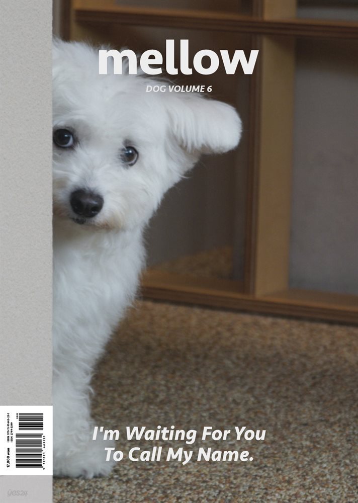 Mellow Dog Volume 6 멜로우 매거진