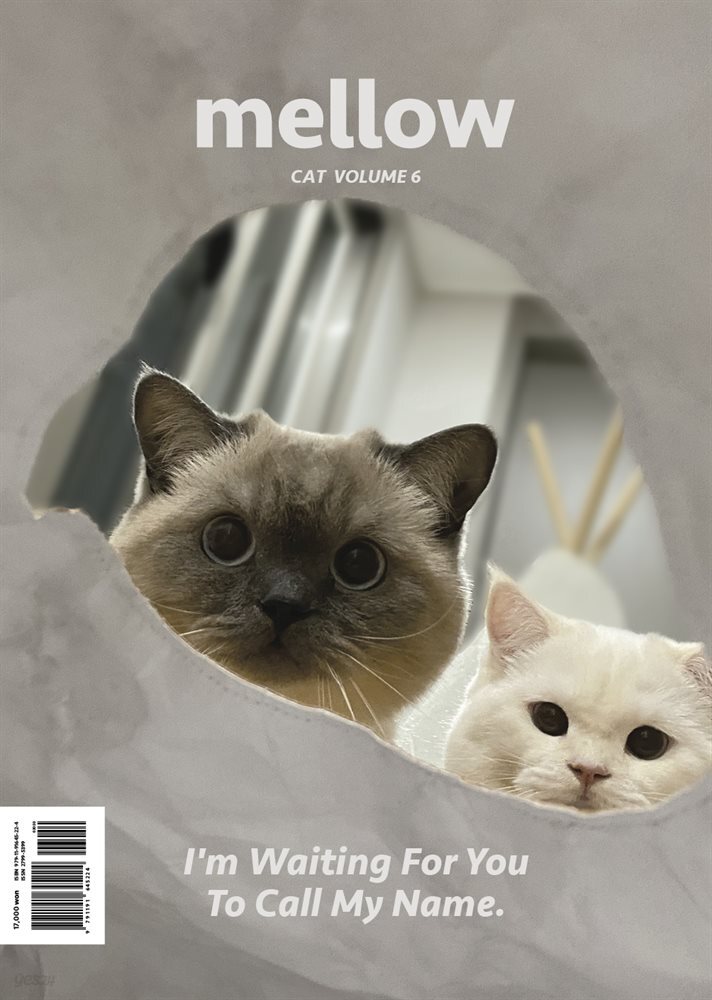 Mellow Cat Volume 6 멜로우 매거진