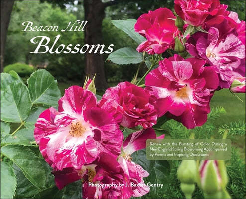Beacon Hill Blossoms: Renew and Refresh with the Bursting of Color During a New England Spring Blossoming Accompanied by Poems and Inspiring