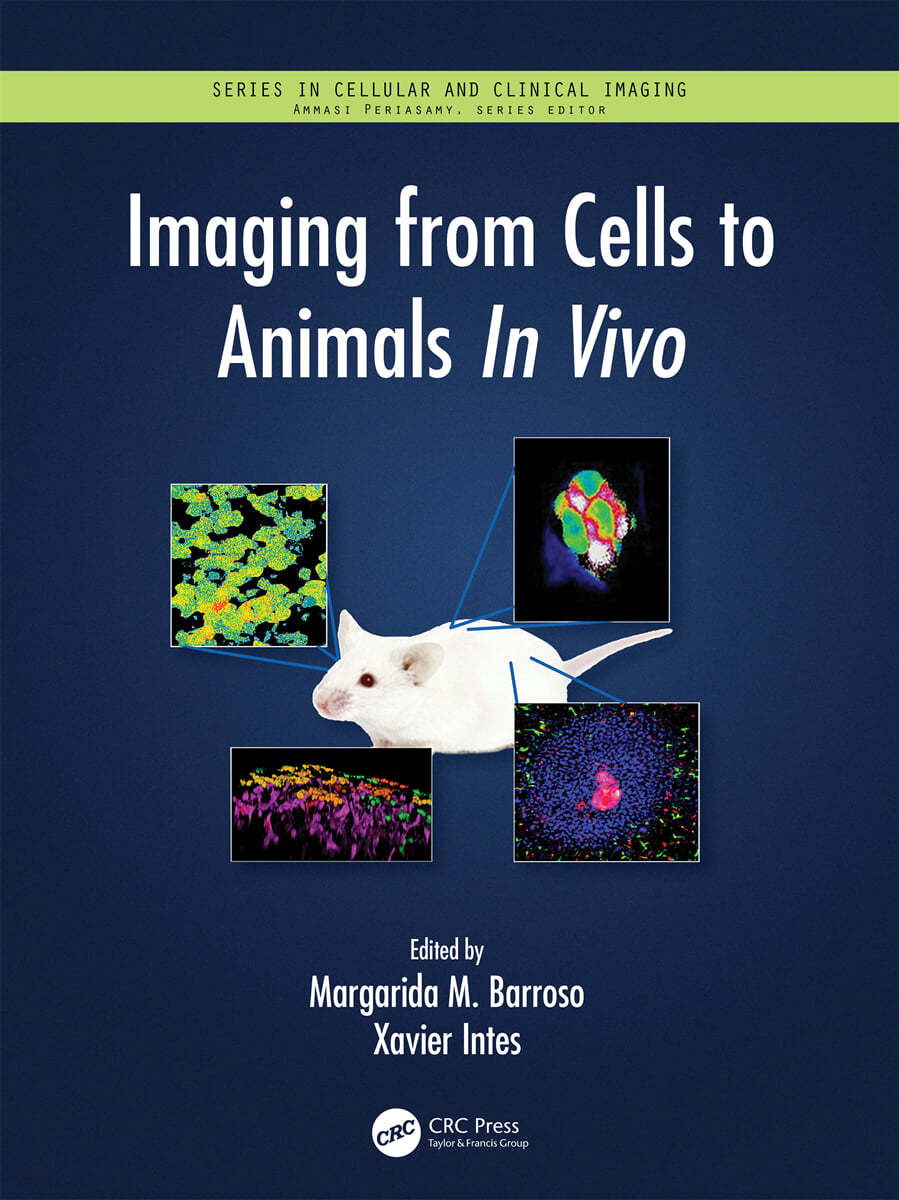 Imaging from Cells to Animals In Vivo