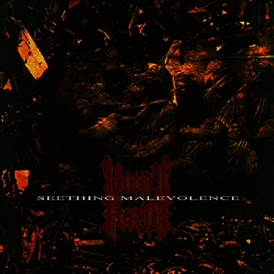 Vomit Forth — Seething Malevolence 앨범 커버