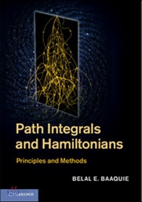 Path Integrals and Hamiltonians: Principles and Methods