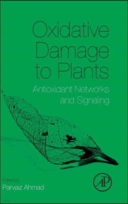 Oxidative Damage to Plants: Antioxidant Networks and Signaling