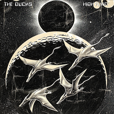 Ducks — High Flyin - Live 앨범 커버