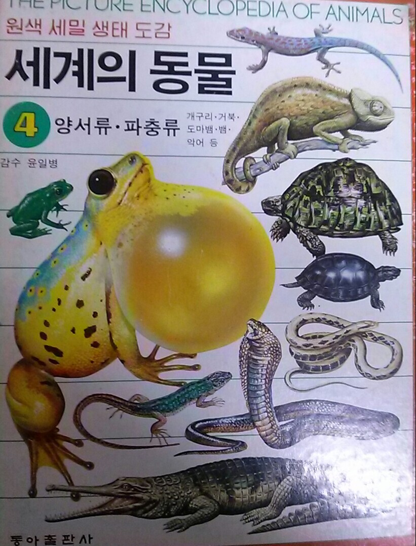[원색 세밀 생태 도감 4 : 세계의 동물] 양서류.파충류 (개구리.거북.도마뱀.뱀.악어등)