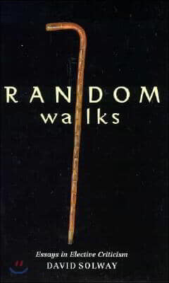 Random Walks: Essays in Elective Criticism