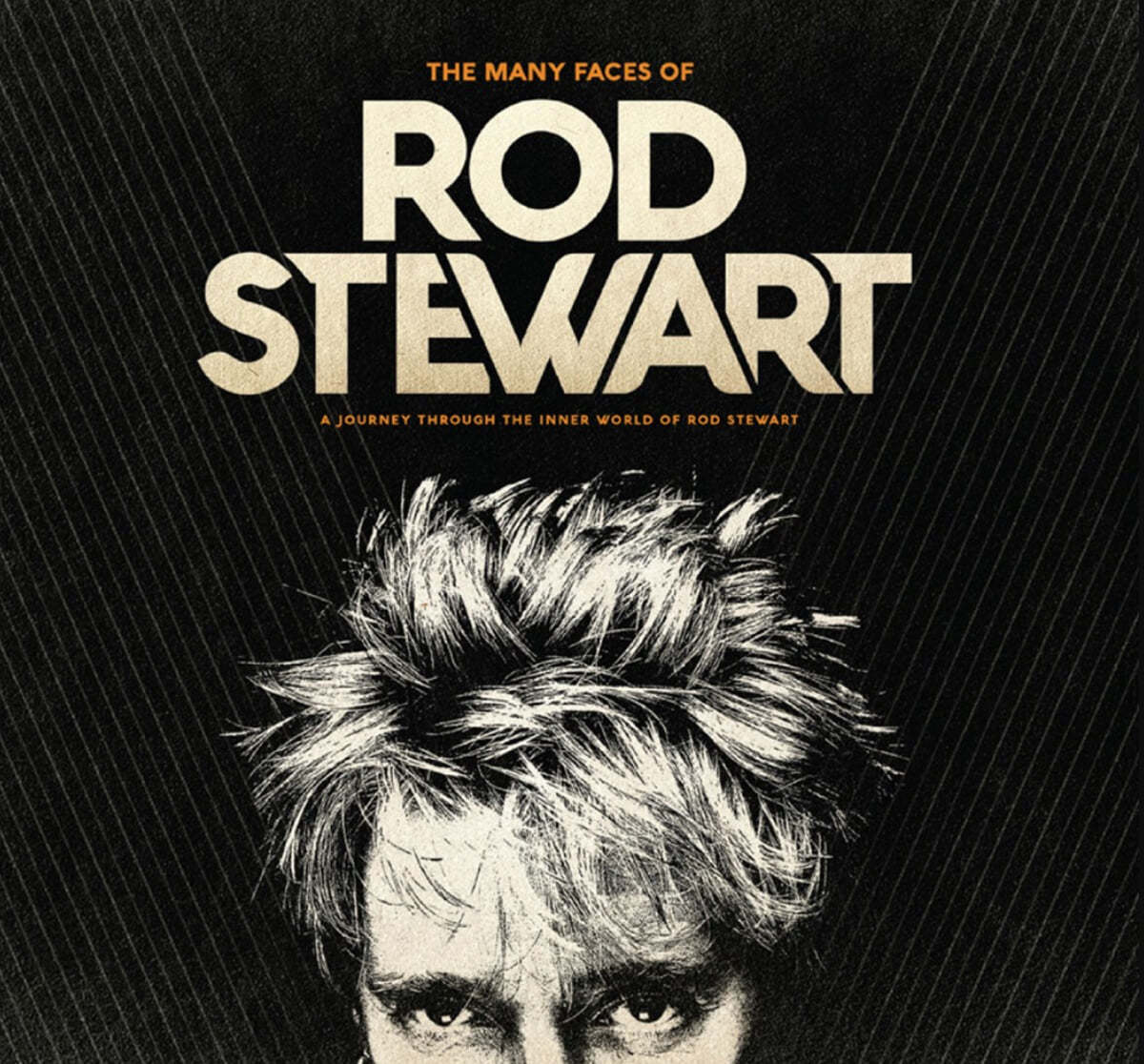 로드 스튜어트 모음집 (The Many Faces Of Rod Stewart) [크리스탈 앰버 컬러 2LP]