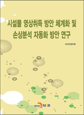 시설물 영상취득 방안 체계화 및 손상분석 자동화 방안 연구