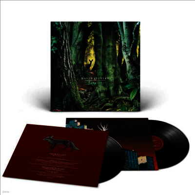 David Sylvian — Manafon (Gatefold) 앨범 커버