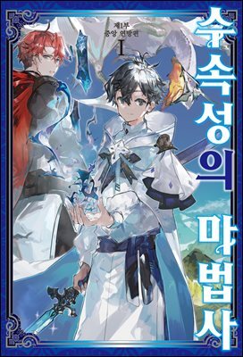 수속성의 마법사