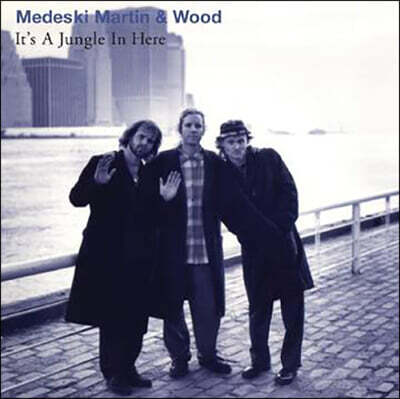 Medeski, Martin & Wood — It's a Jungle In Here 앨범 커버