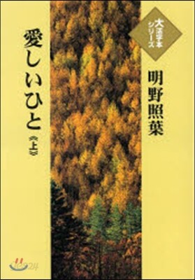 愛しいひと 上